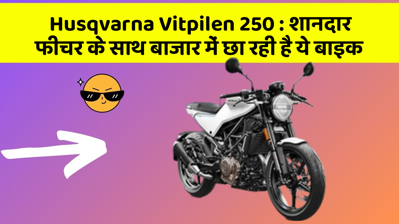Husqvarna Vitpilen 250: शानदार फीचर के साथ बाजार में छा रही है ये बाइक
